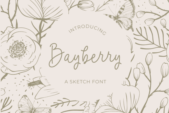 Bayberry: A Handwritten Font That Feels Fresh and Approachable