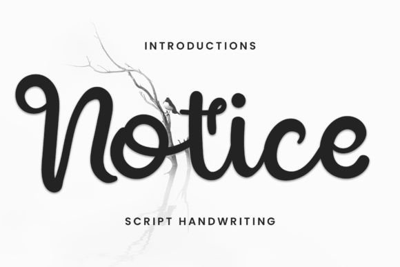 Notice: A Sweet Script Font for Wedding-Inspired Editorial Design