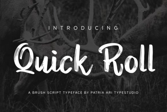 Quick Roll: A Designer’s Take on Real-World Use