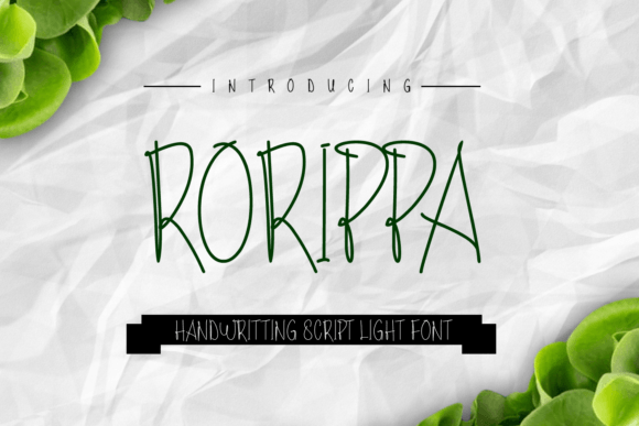 Rorippa: A Designer’s Honest Review for Real-World Use