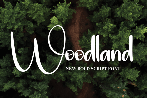 Woodland Font: A Bold Choice for Modern Web Design